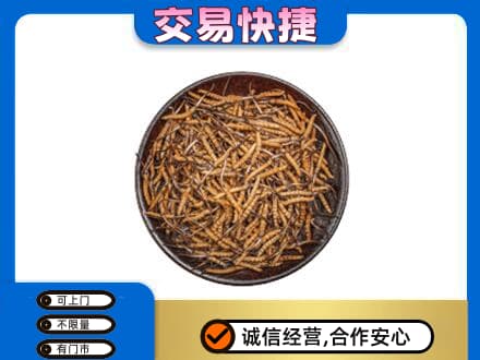 汕尾市海丰回收散虫草